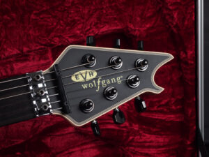 ヴァンヘイレン エディ Edward Van Halen Eddie PEAVEY Musicman Axis 5150 Friedman Brown ウルフギャング Kramer クレーマー