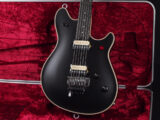 ヴァンヘイレン エディ Edward Van Halen Eddie PEAVEY Musicman Axis 5150 Friedman Brown ウルフギャング Kramer クレーマー