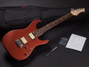 シャーベル Jackson Rickenbucker Fender Jazzmaster Danelectro ビザール シューゲイザー Shoegazar my bloody valentine