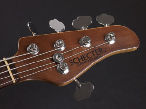 Bacchus ESP Edwards Musicman Delano Sandberg Mayones Wood Line Ameze Fender Jazz Bass 5 String Active