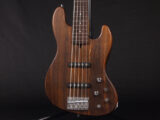 Bacchus ESP Edwards Musicman Delano Sandberg Mayones Wood Line Ameze Fender Jazz Bass 5 String Active