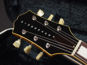 ヴァンヘイレン エディ Edward Van Halen Eddie PEAVEY Musicman Axis 5150 Friedman Brown ウルフギャング Kramer クレーマー