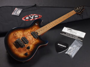 ヴァンヘイレン エディ Edward Van Halen Eddie PEAVEY Musicman Axis 5150 Friedman Brown ウルフギャング Kramer クレーマー