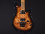 ヴァンヘイレン エディ Edward Van Halen Eddie PEAVEY Musicman Axis 5150 Friedman Brown ウルフギャング Kramer クレーマー