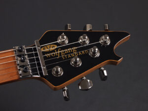 ヴァンヘイレン エディ Edward Van Halen Eddie PEAVEY Musicman Axis 5150 Friedman Brown ウルフギャング Kramer クレーマー