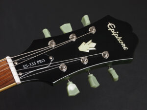 Limited Edition Deluxe DLX LTD アクアマリン iguana Blue Green Burst Sheraton Riviera ドット セミアコ AQM AM アクア