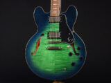 Limited Edition Deluxe DLX LTD アクアマリン iguana Blue Green Burst Sheraton Riviera ドット セミアコ AQM AM アクア