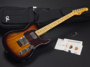 トリビュート シリーズ アサット Telecaster Thinline テレキャスター シンライン セミアコ セミホロー ブルースボーイ クラシック F Hole japan USA outlet