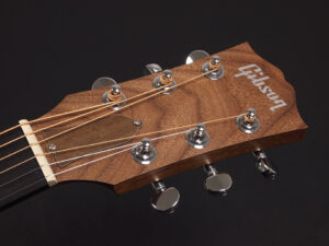 Song Writer Hummingbird Studio ソングライター Cutaway Nat Side Sound Hole Deluxe DLX Generation Player Port
