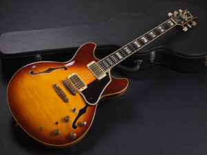 アイバニーズ セミアコ ジョンスコ John Scofield AV BS 富士弦 FUJIGEN 日本製 made in Japan FGN ES-335 セミアコ AS100 Sunburst