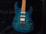 USA Custom James Tyler Tom Anderson Schector ESP Mayones ハイエンド Flame Quilt フレイム キルト