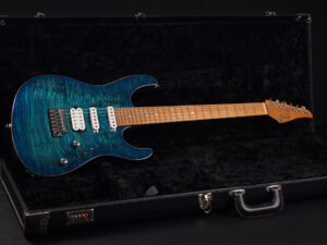 USA Custom James Tyler Tom Anderson Schector ESP Mayones ハイエンド Flame Quilt フレイム キルト