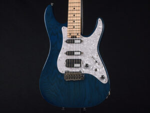 日本製 Made in japan PT EX-IV 5A B VTR EX-22 ST-CTM BH NV ESP snapper Blue Swamp Ash 限定品 LTD Maple Deep