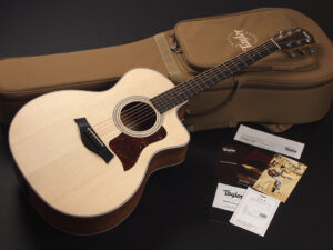 タイラー 114ce 214e 314ce Koa RW ローズウッド DLX deluxe エレアコ electric acoustic ES2 初心者 入門 女子 Plus プラス GA +