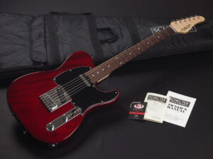 fender MIJ japan プロゲージ Progauge traditional hybrid ii ダンカン テレキャス telecaster