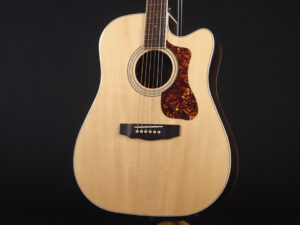 Gibson Epiphone Pro Songwriter DLX ソングライター D-240E A-20 D-150CE D-120CE D-140 D-28 Dreadnought D-40E