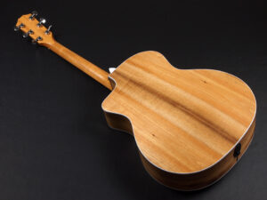 タイラー 214ce 314ce Koa Hawaiian Rosewood ハワイアンコア DLX deluxe エレアコ electric acoustic ES2 初心者 女子 女性 入門 コア