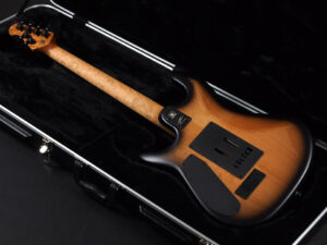 Sterling by MUSIC MAN John Petrucci Majesty JP Mayones Regius Duvell Setius バール Burl バックアイ Buckeye USA アメリカ