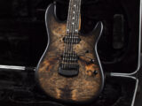 Sterling by MUSIC MAN John Petrucci Majesty JP Mayones Regius Duvell Setius バール Burl バックアイ Buckeye USA アメリカ