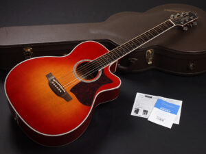 長渕剛 nagabuchi tsuyoshi DMP752C Cherry Sunburst Red 赤 チェリー サンバースト BLK Maple 日本製 made in japan 高峰 TDP