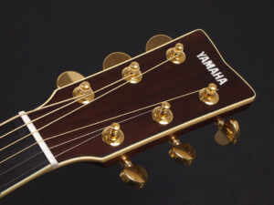 Brown Sunburst AC3R AC3M AC5R AC1R AC1M エレアコ 初心者 女子 女性 入門 ビギナー LL16 LL6 LS6 FS850 オール単板 日本製 Japan