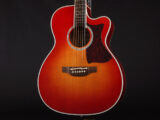 長渕剛 nagabuchi tsuyoshi DMP752C Cherry Sunburst Red 赤 チェリー サンバースト BLK Maple 日本製 made in japan 高峰 TDP