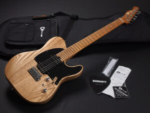 Jackson Kramer ESP Ibanez Schecter AZ RG Snapper EX SD ローステッド Roasted TL Tele Telecaster