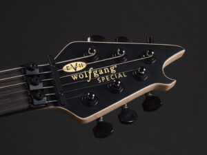 ヴァンヘイレン エディ Edward Van Halen Eddie PEAVEY Musicman Axis 5150 Friedman Brown ウルフギャング Kramer クレーマー Wolfgang Special