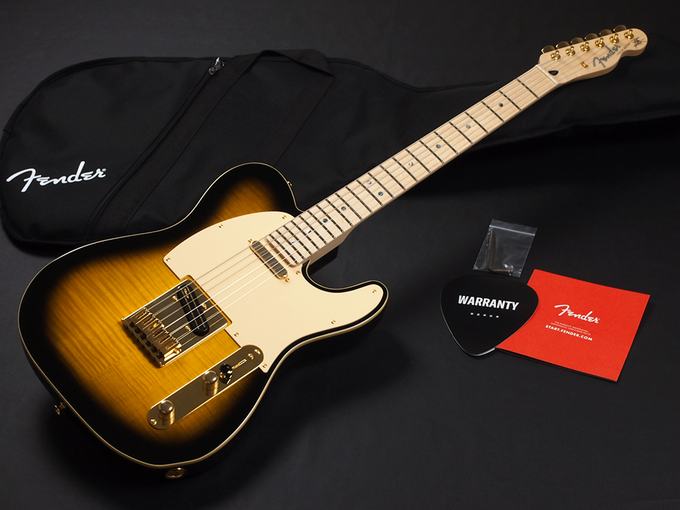 Fender Richie Kotzen Telecaster Maple Fingerboard Brown Sunburst 
