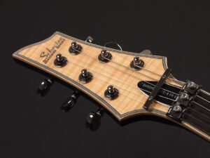 左 左利き レフティ Susteiner サスティナー レフトハンド Horizon Edwards ESP Diamond ダイアモンド FR FM