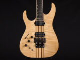 左 左利き レフティ Susteiner サスティナー レフトハンド Horizon Edwards ESP Diamond ダイアモンド FR FM