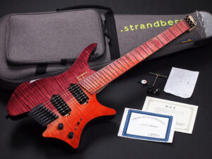 Ibanez Q mayones Hydra Agile kiesel Skervesen ego Sugi T's バーグ Headless ヘッドレス バール 銘木