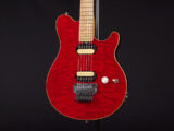 EVH Peavy HP Van Halen Tak 松本 B'z ヴァンヘイレン アクシス アクシズ wolfgang ウルフギャング Special Standard Signature