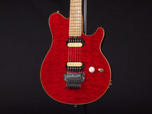 EVH Peavy HP Van Halen Tak 松本 B'z ヴァンヘイレン アクシス アクシズ wolfgang ウルフギャング Special Standard Signature