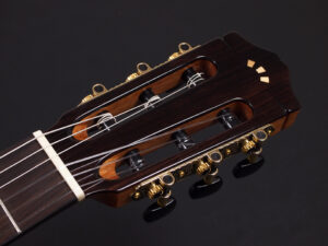 スタジオ ローズウッド ネグラ フラメンコ ボサノバ エレガット カッタウェイ クラシック ボサノバ rosewood bossa nova Flamenco Ele gut ガット イベリア