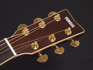 LL-6 LS-6 LS6 LL16 CPX L series fg fs compass A AC APX エレアコ 初心者 入門 ビギナー 女子 ナチュラル NT NAT fork シニア