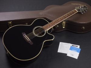 エレアコ DMP made in japan 日本製 長渕剛 ブルース スプリングスティーン tsuyoshi nagabuchi 黒 Black Ebony BLK BK ブラック 真空管 Tube