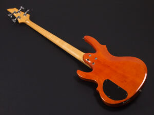 Edwards ESP Forest FR RD 変形 V系 Warwick Spector アンバー オレンジ orange 初心者 入門 エントリー