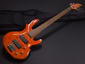 Edwards ESP Forest FR RD 変形 V系 Warwick Spector アンバー オレンジ orange 初心者 入門 エントリー