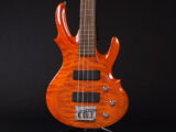 Edwards ESP Forest FR RD 変形 V系 Warwick Spector アンバー オレンジ orange 初心者 入門 エントリー