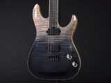 ヘルレイザー Diamond EMG 81 85 Loud Metal esp horizon Mayones S7G Skervesen Ormsby