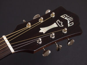 Gibson Epiphone Pro Songwriter DLX ソングライター D-240E A-20 D-150CE D-120CE D-140 D-28 Dreadnought D-40E