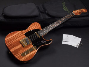 百瀬恭夫 テレキャスター 2023 Limited Edition 限定品 LTD 枝れ垂桜 しだれざくら sakura サクラ Deviser Headway aska MTL Telecaster