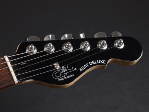 トリビュート シリーズ アサット Telecaster デラックス テレキャスター アーチトップ schecter PT HELLRAISER HYBRID japan USA outlet DLX