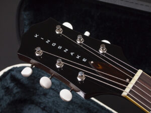 フルアコ セミアコ Gibson Vintage ギブソン ヴィンテージ ES ES-175 ES-125 TD Eastman Godin 5th avenue AR-175ce 372ce VS