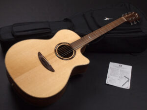 ディーシーティー ジャパン japan Cutaway カッタウェイ Takamine yamaha タカミネ ヤマハ 初心者 ビギナー 入門 女性 女子 子供 エレアコ eleaco 800CES