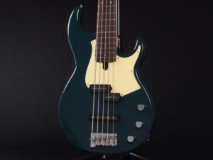 TRB BB SR Musicman Sterling Stingray Precision Jazz Fender Squier Bacchus Universe 初心者 入門 ぼっち 軽音