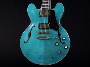 エクセルバート standard es-335 semi Hollow FGN Fujigen made in 日本製 momose Deviser Aquamarine Blue 青 ブルー アクア