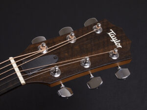 タイラー 114ce 110ce 214e 110e ローズウッド DLX deluxe エレアコ electric acoustic ES2 初心者 入門 プラス RW ローズ koa Plus N