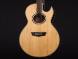 EA20SNB Extreme エクストリーム ヌーノ ベッテンコート エレアコ Festival Series フェスティバル Natural Cutaway More than words NAT